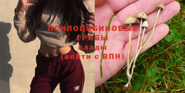 таблы Пестово