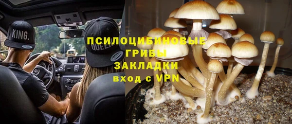 ALPHA-PVP Пересвет